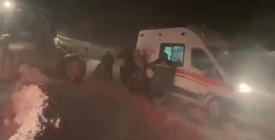 Malatya ve Mersin'de kar ve tipi: İki çoban hayatını kaybetti 1