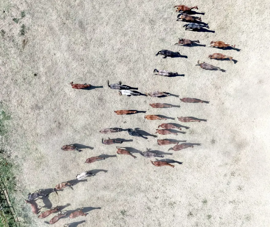 5 yılda 210 milyon lira gelir sağlandı: Açık artırmayla satışa çıkıyor 3