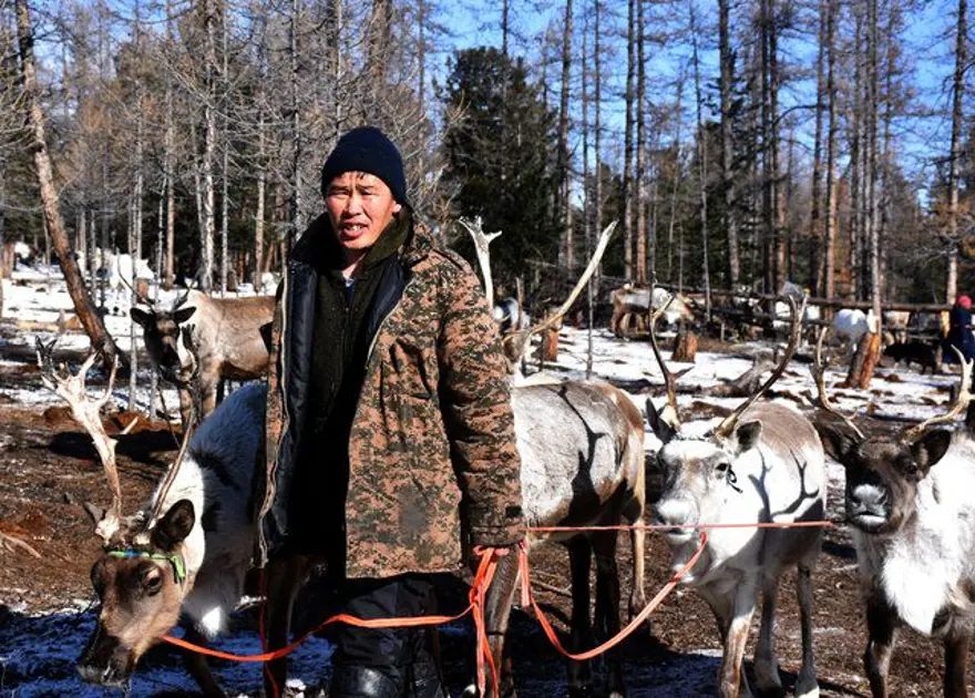 Moğolistan'da ıssızlığın ortasındaki bir avuç Türk: Duhalar 16