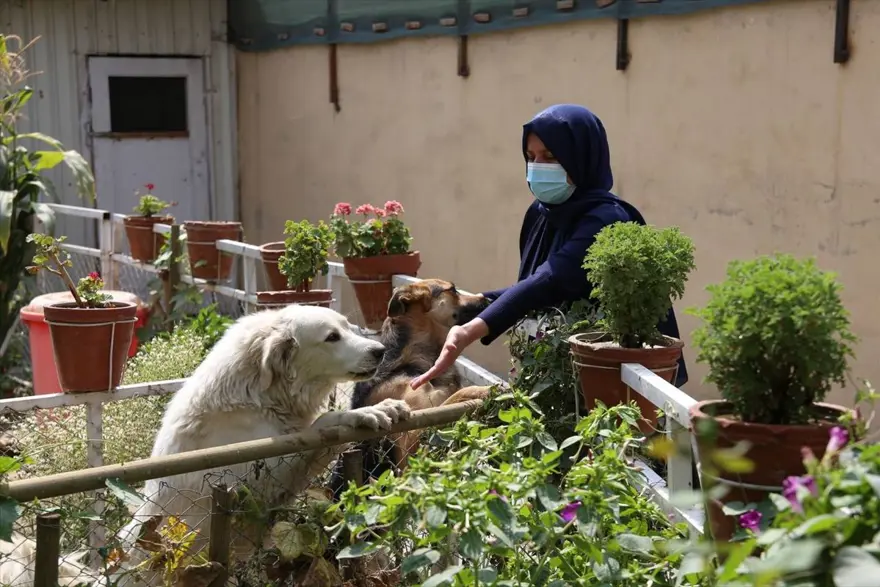 Kabil'de yaşayan Türk kadın girişimci:  Afganistan'dan umutluyum, geri dönmeyi düşünmüyorum 10
