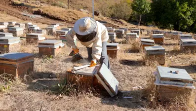 Şehirden köyüne döndü: Bu sezon 1 ton üretti