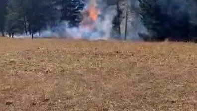 Sarıkamış'ta orman yangını