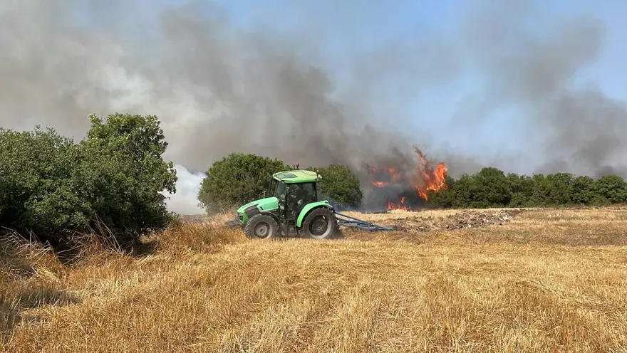 Çanakkale Biga'da orman yangını 3