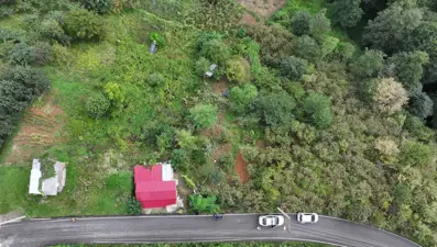 Otomobil fındık bahçesine daldı