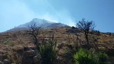 Bodrum’da 3 hektar alan kül oldu