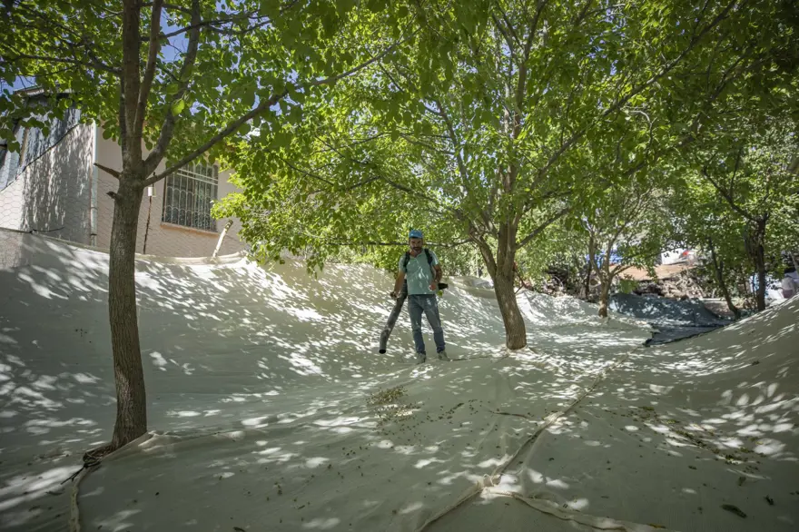 Coğrafi işaretli "Ulukale Dutu" geçim kaynağı oldu! Güneşin karşısında kurutuluyor, elekten geçirilerek hazırlanıyor 19