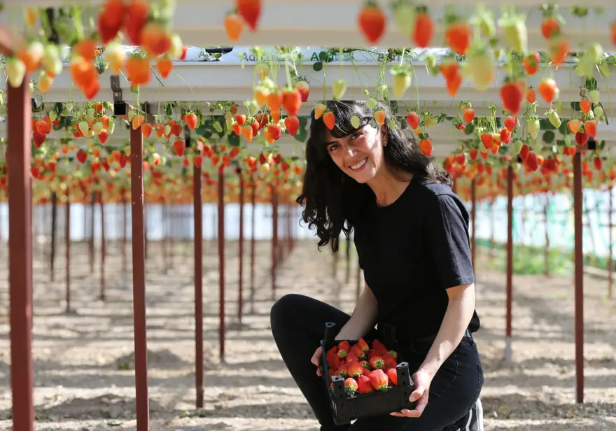 "HEDEF, ÜRETİMİ ARTIRARAK İHRACATA BAŞLAMAK" 5