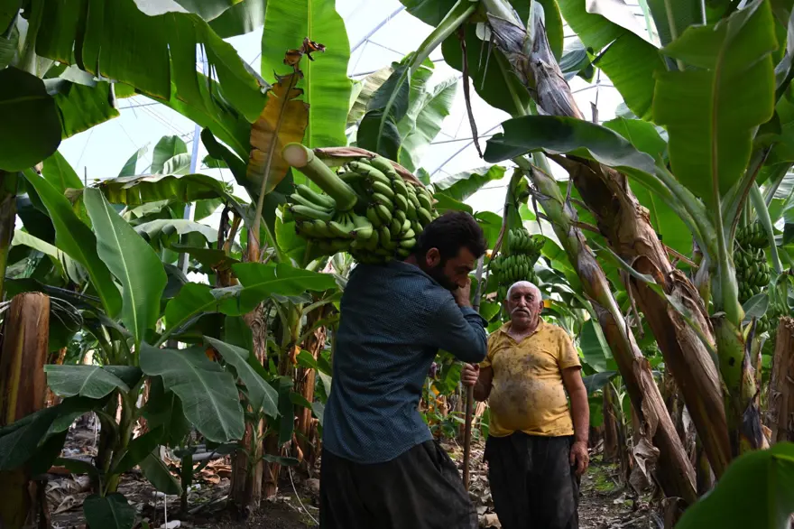 HİBE VE DANIŞMANLIK DESTEĞİ 4