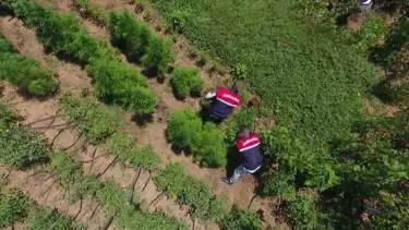 İstanbul'da "drone"lu uyuşturucu operasyonu