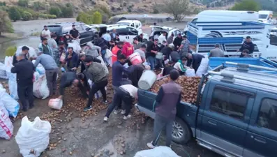 Ücretsiz patates izdiham oluşturdu