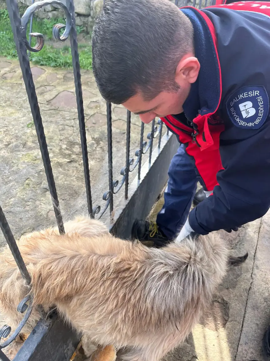 Balıkesir'de bahçe kapısına sıkışan köpek kurtarıldı 3
