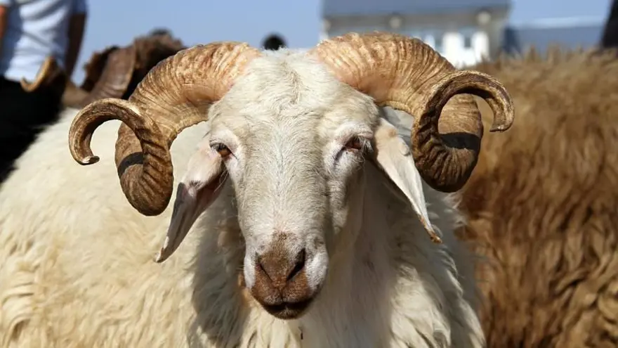 2023 KURBAN BAYRAMI NE ZAMAN? 1