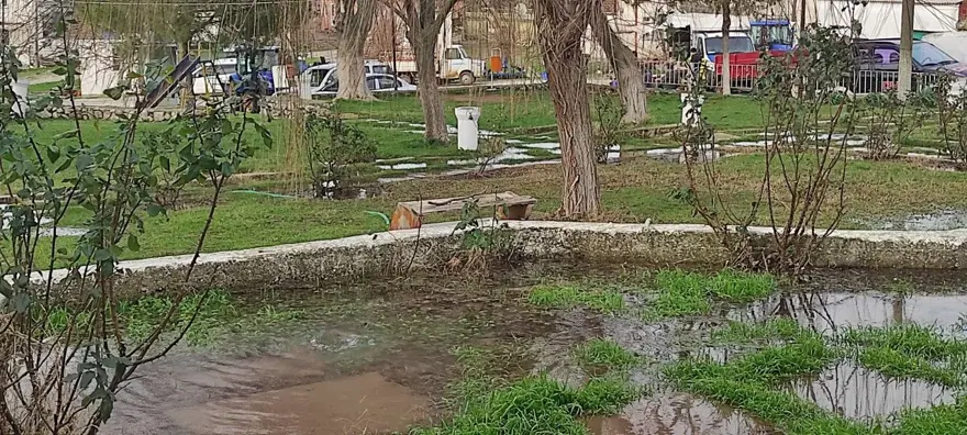Kazdağları eteklerindeki köyün her yerinden su çıkıyor 14