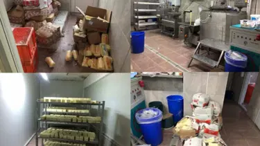 Sakarya'da merdiven altı tesise baskın: 1,5 milyonluk sahte kaşar ele geçirildi