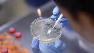 Corona virüse karşı etkili aşı bulunabilecek mi? (DSÖ Başkanı Ghebreyesus'tan yeni açıklama) Corona virüse karşı etkili aşı bulunabilecek mi? (DSÖ Başkanı Ghebreyesus'tan yeni açıklama)