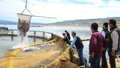 Denizi olmayan Kayseri'de somon üretimi: 3 bin tonu aşması bekleniyor