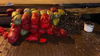 Hepsi İstanbul'da ele geçirildi! Tam 1 ton, 1 kişi gözaltında