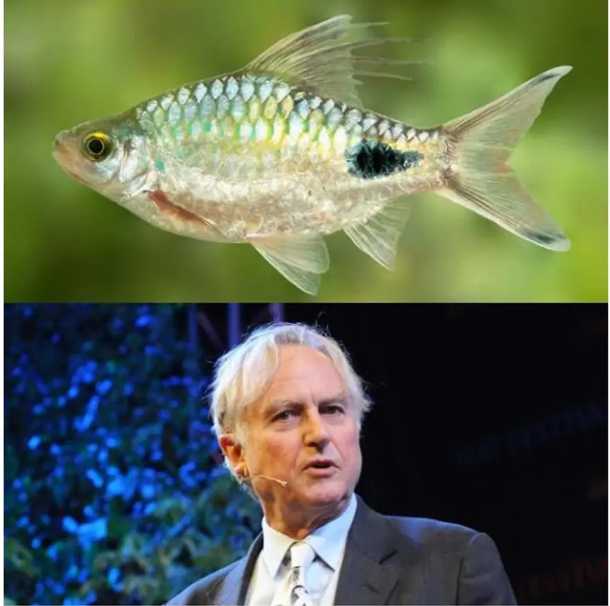 Ünlülerin adı verilen yeni türler 3 Ünlülerin adı verilen yeni türler 3