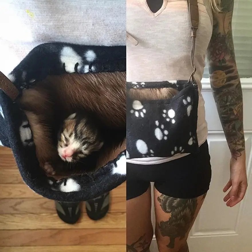 Hayatını kedileri kurtarmaya adadı 286