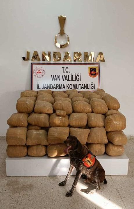 Van'da 700 kilo esrar ele geçirildi
