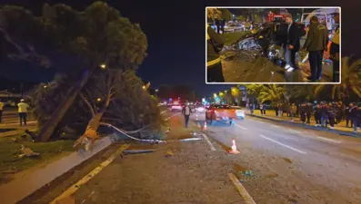 Kaza yapan otomobil ağaçları devirip ters yöne geçti: 5 yaralı