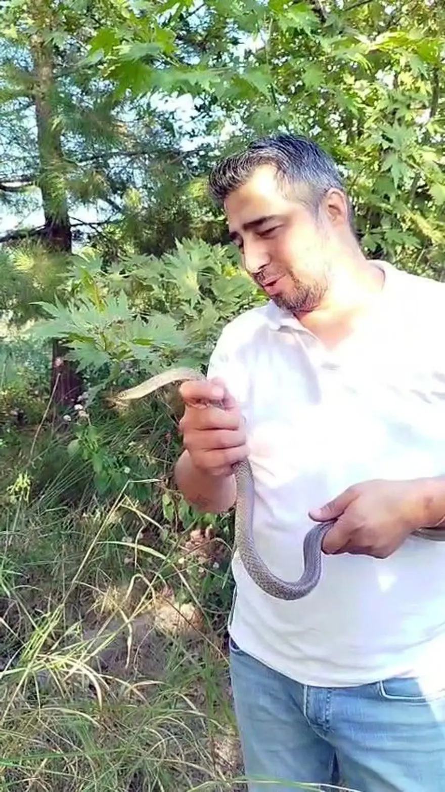 'Yılancı Kemal' iş başında: Hiçbir koruyucu takmadı, 1 metrelik yılanı elleriyle yakaladı 3 'Yılancı Kemal' iş başında: Hiçbir koruyucu takmadı, 1 metrelik yılanı elleriyle yakaladı 3