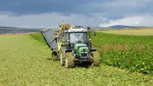 Kastamonu'da pancar mesaisi