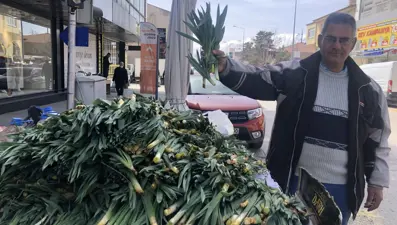 Yöre halkı ''gulik'' diyor: Şifalı ot kilosu 100 liradan tezgahlarda yerini aldı