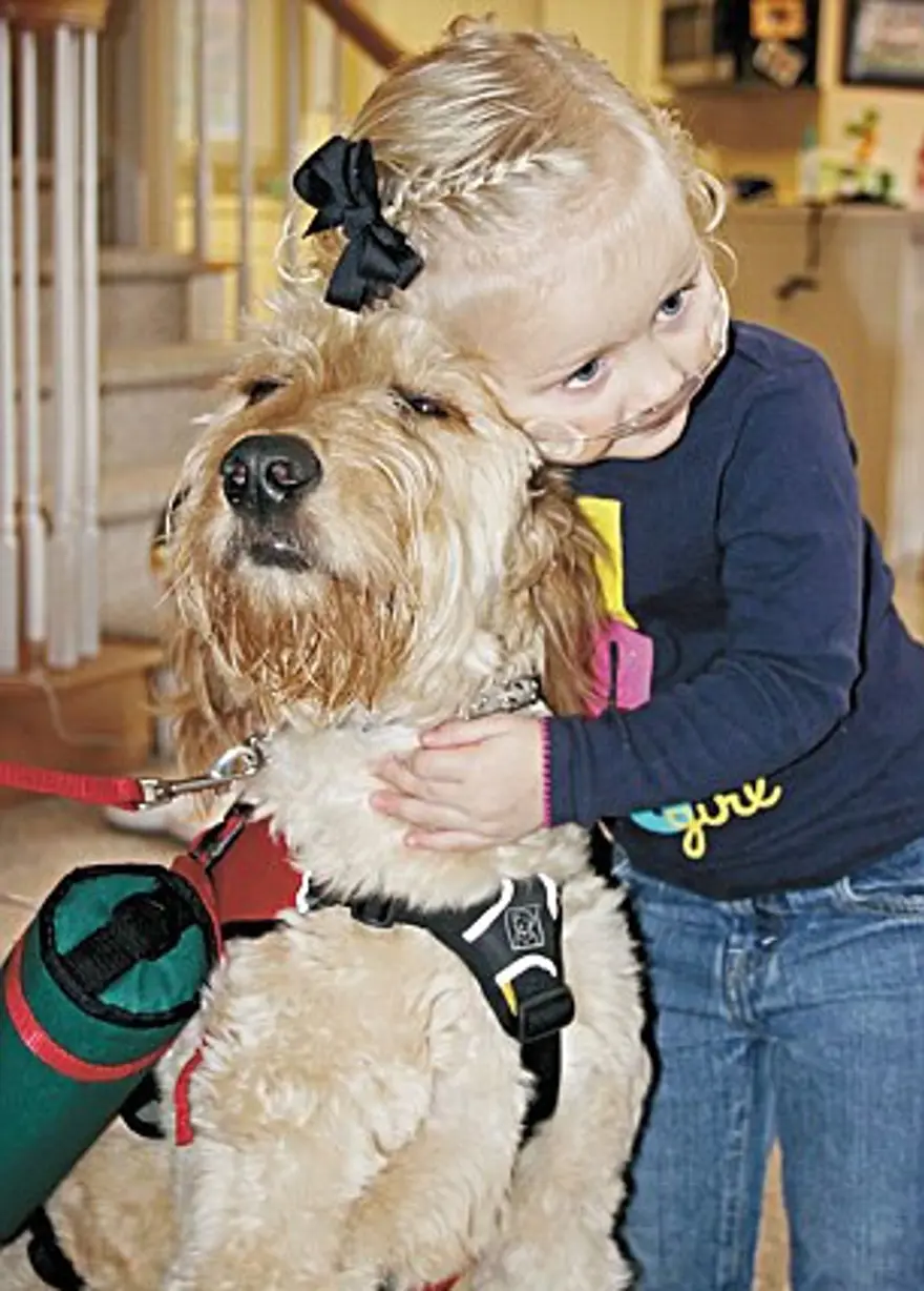 Çocuğun oksijeni köpeğin sırtında 2 Çocuğun oksijeni köpeğin sırtında 2