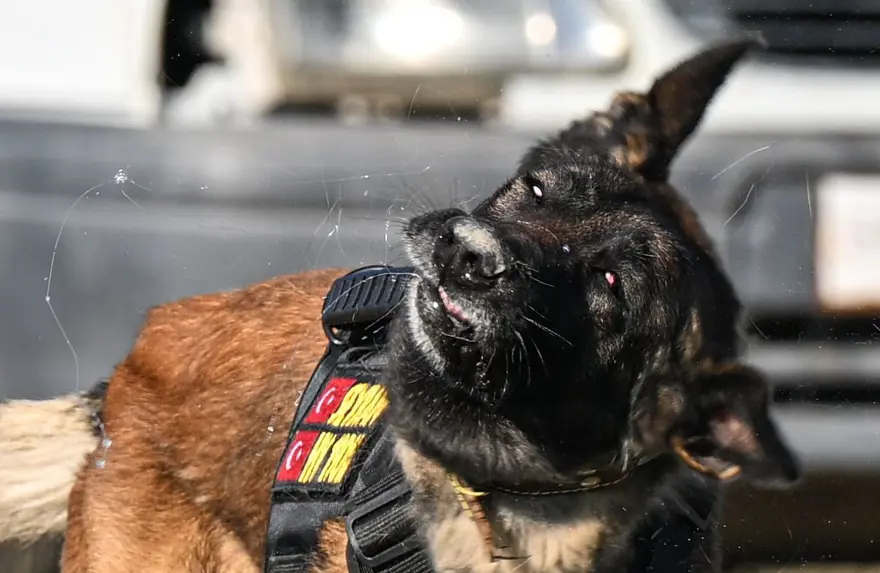 TürkHava Kuvvetleri’nin hassas burunları 7 TürkHava Kuvvetleri’nin hassas burunları 7