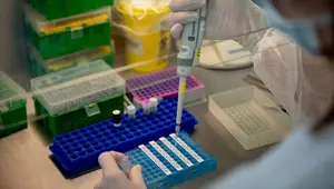 ABD'den corona virüs tedavisinde kök hücre denemesine onay