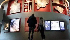 Hatay'da beş dönemin izlerini taşıyan Necmi Asfuroğlu Arkeoloji Müzesi ziyaretçilerini zaman yolculuğuna çıkarıyor Hatay'da beş dönemin izlerini taşıyan Necmi Asfuroğlu Arkeoloji Müzesi ziyaretçilerini zaman yolculuğuna çıkarıyor