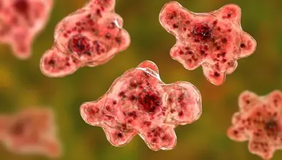 Güney Kore'de "beyin yiyen amip" kaynaklı ilk ölüm