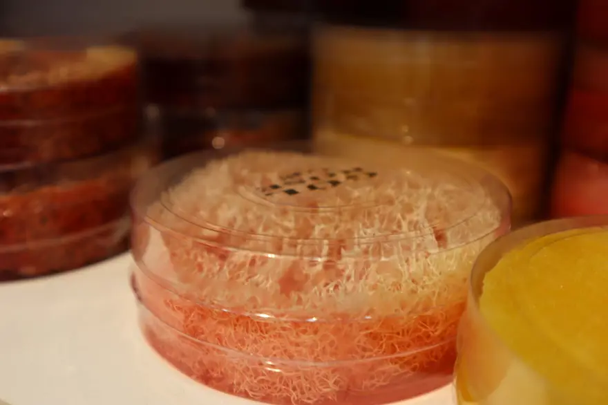 El yapımı üretiliyor: Yalova'dan 20 ülkeye gönderiliyor 1