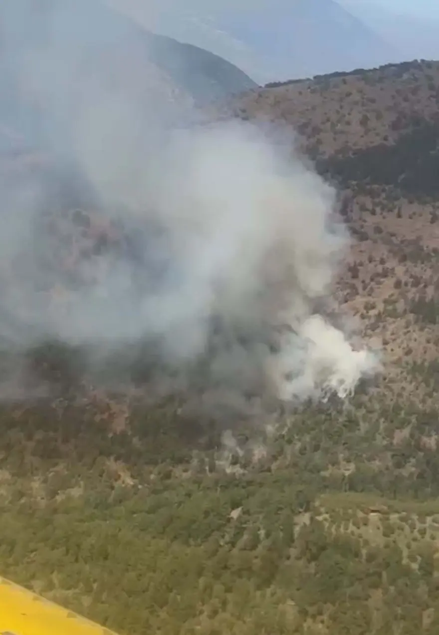 İzmir'de orman yangını: Alevler kontrol altında 