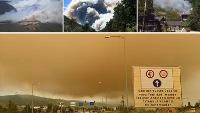 Kocaeli, Karaman, Afyonkarahisar ve Diyarbakır'da orman yangını