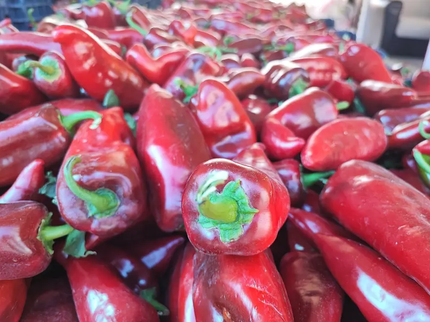 Pazara giden almadan dönmüyor:  Kış hazırlığı başladı 3