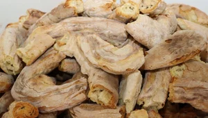 Mesudiye goliti tescillendi Mesudiye goliti tescillendi