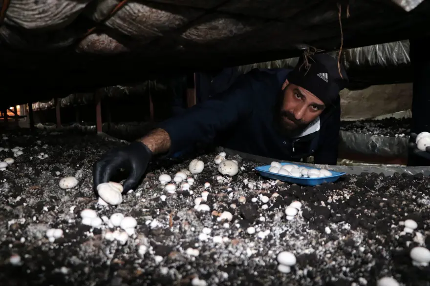 Devlet desteğiyle kurdu: 45 günde 70 ton üretiyor 3