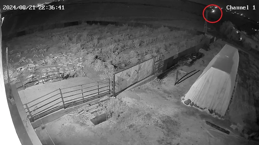 Narin Güran cinayetiyle ilgili yeni görüntü: Cesedin yakınında 8 dakika kalmış 6