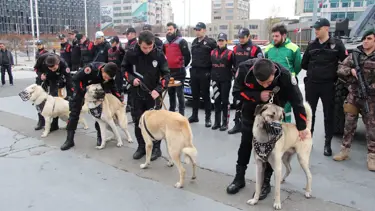 Emniyet yılbaşı için hazır (Kangal ve Akbaşlar ilk defa görev yapacak)