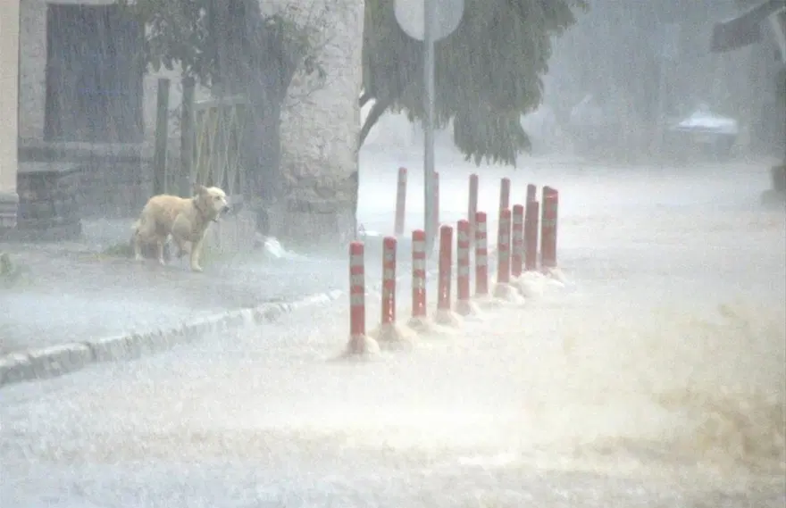 Bodrum'u sel aldı 6 Bodrum'u sel aldı 6