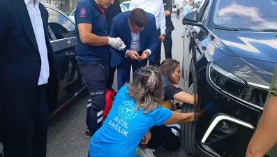 Bakan konvoyunda yavru kedi alarmı: 112 ekipleri kurtardı