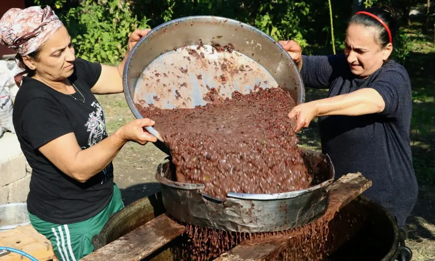 Binbir zahmetle yapılıyor, litresi 100 TL'ye satılıyor: Defne yağı 1