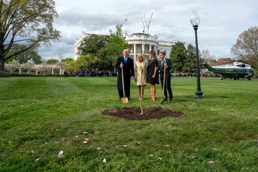 Trump ile Macron ağaç dikti 7