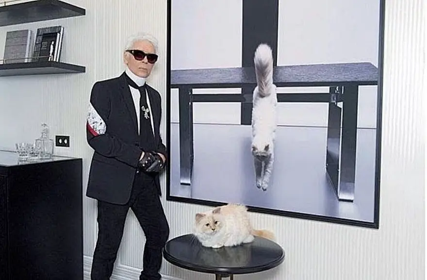 Karl Lagerfeld'in kedisi Choupette mirasın tadını Paris'te çıkarıyor 15 Karl Lagerfeld'in kedisi Choupette mirasın tadını Paris'te çıkarıyor 15