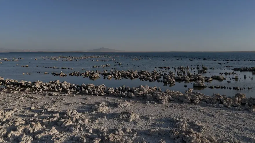 Van Gölü'nde endişelendiren görüntü 3 Van Gölü'nde endişelendiren görüntü 3