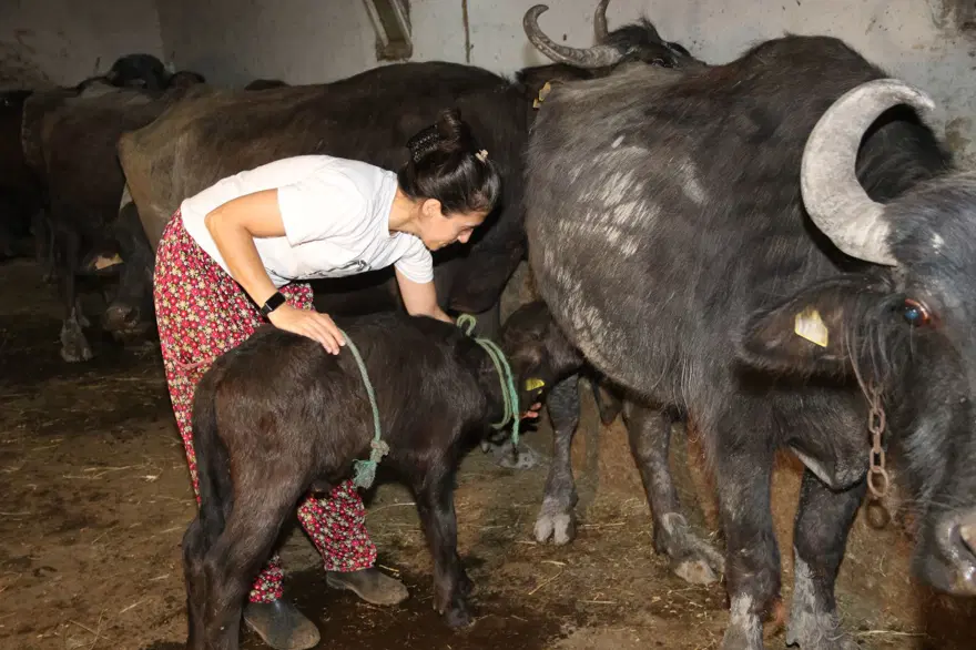 İşinden istifa etti, 3 yıl önce köyüne döndü: Şimdi taleplere yetişemiyor 