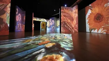 Dijital Van Gogh'a ziyaretçi akını