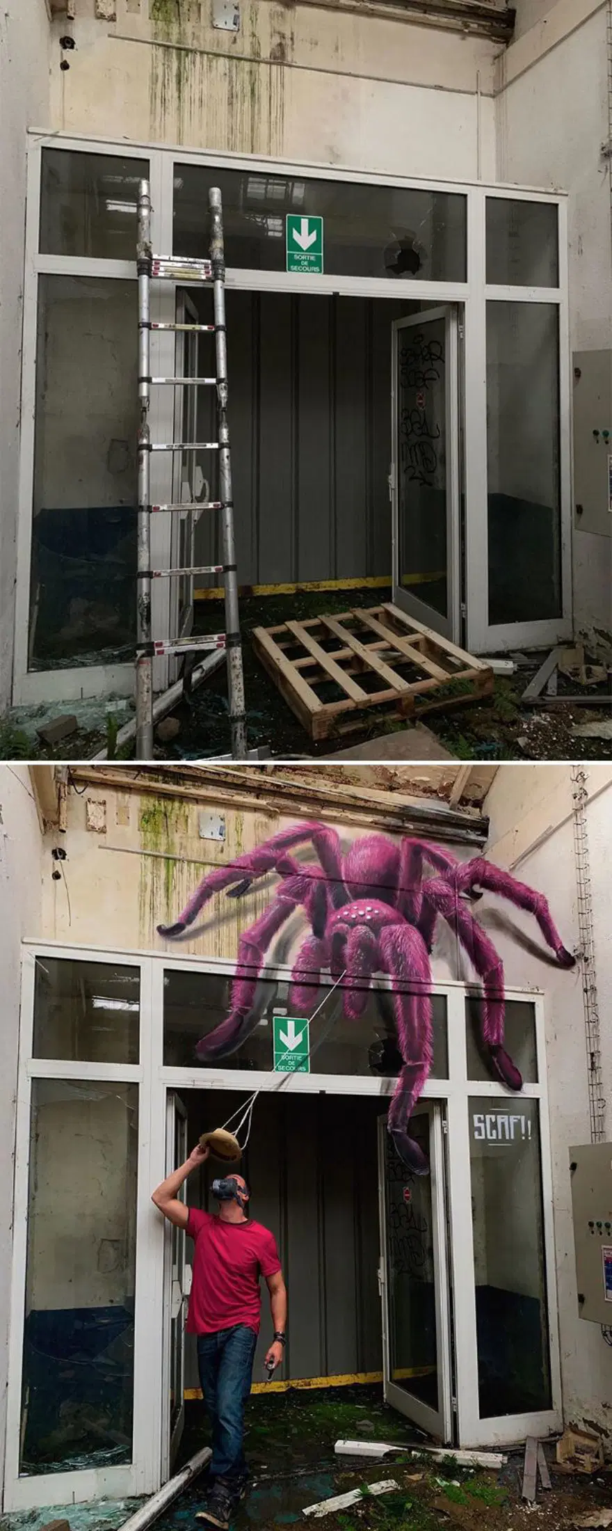 Fransız sokak sanatçısından 3 boyutlu grafitiler 15